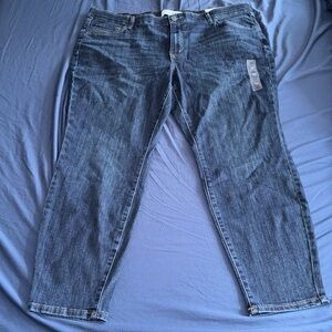 NWT Sonoma Skinny Jeans - Size 20W